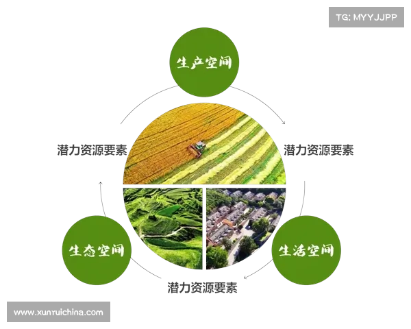 土储转化最佳实践探索及策略解析助力房地产开发高效落地 土储转化最佳实践探索及策略解析助力房地产开发高效落地